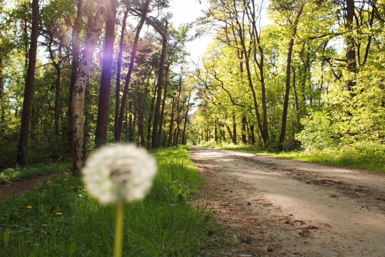 Natuurhuisje Even Niets Zelhem Εξωτερικό φωτογραφία
